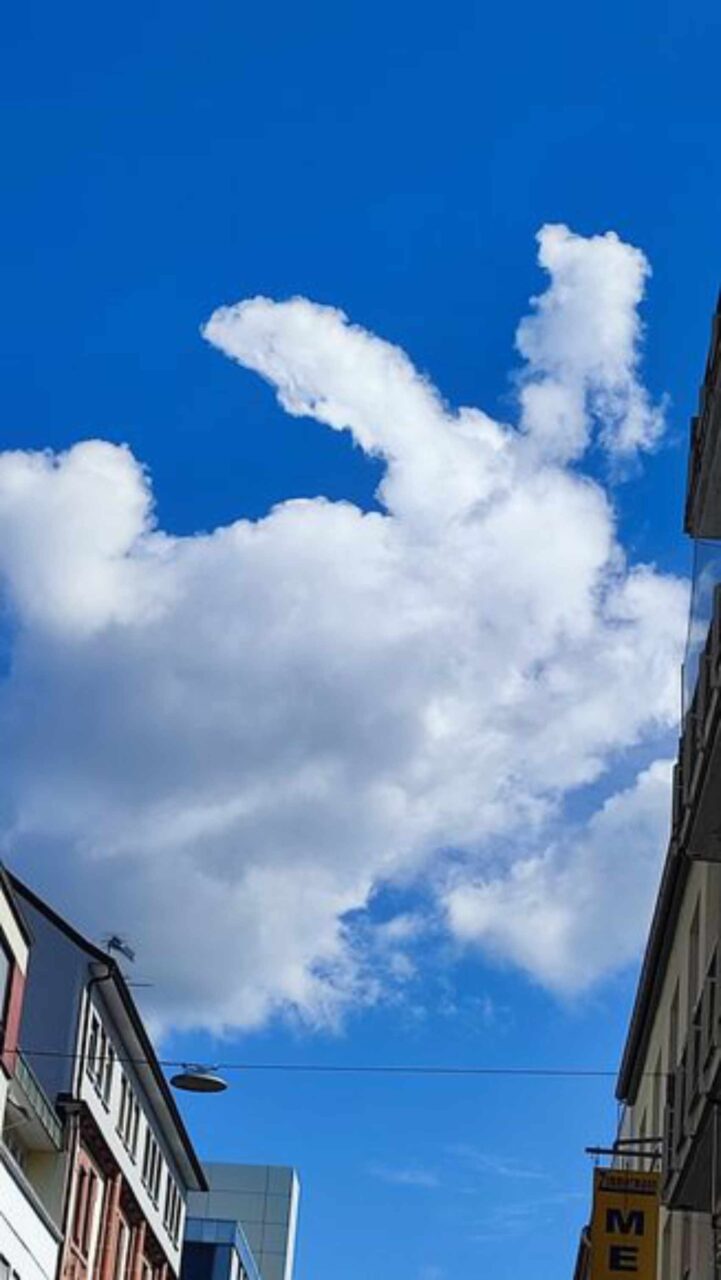 Eine Wolke in Form einer Schildkröte.