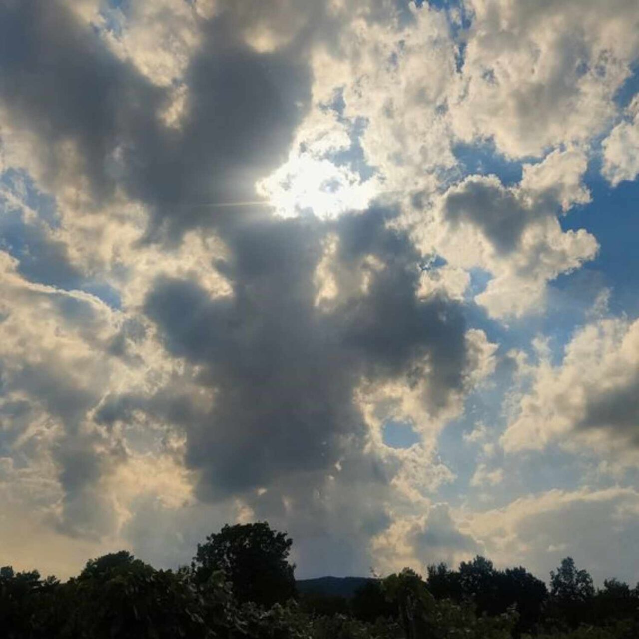 Eine Figur aus dunklen Wolken gebildet mitten in einem aufgelockerten Himmel am Abend bei dahinter noch höher stehender Sonne. Oben zwei Nasenflügel, ein Hals, ein Bauch und leider unterschiedlich kurze Arme, Beine angedeutet. 