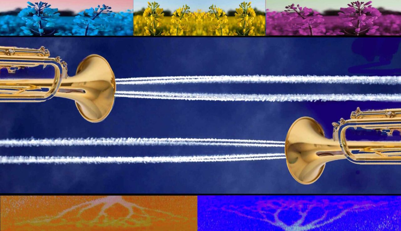 Zwei Trompeten als Flieger mit Kondenzstreifen. Darüber sind einmontierte Naturfotos von Raps umgefärbt: hellblau, original naturgelb, dunkelrosa gefärbt als Streifen am oberen Bildende. Unten Baumäste eingetaucht in Orange (links) und  mittelblau (rechts).